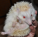 Zerobyte's Avatar
