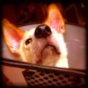 kamao26's Avatar