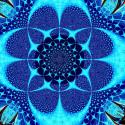 rave_united88's Avatar
