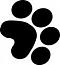 tonsy_kennel