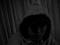 yam123's Avatar